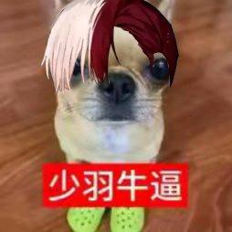 乖乖