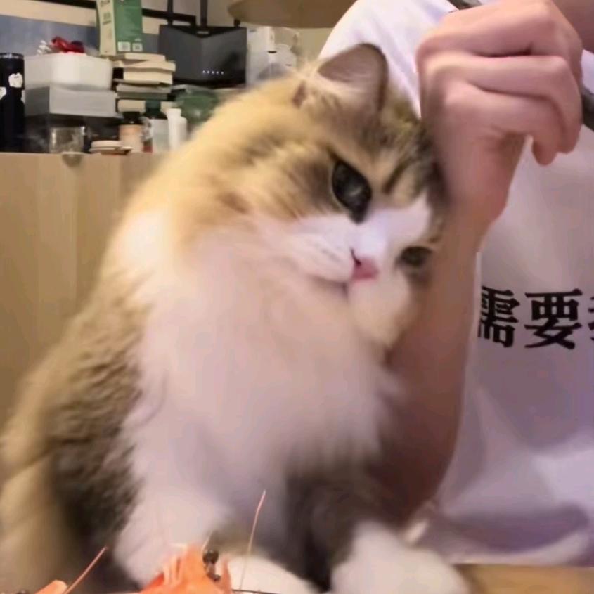 广西壮族自治区『森』