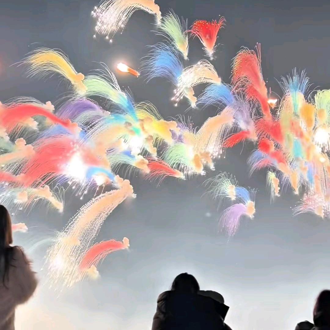 云南江川 烟花王子