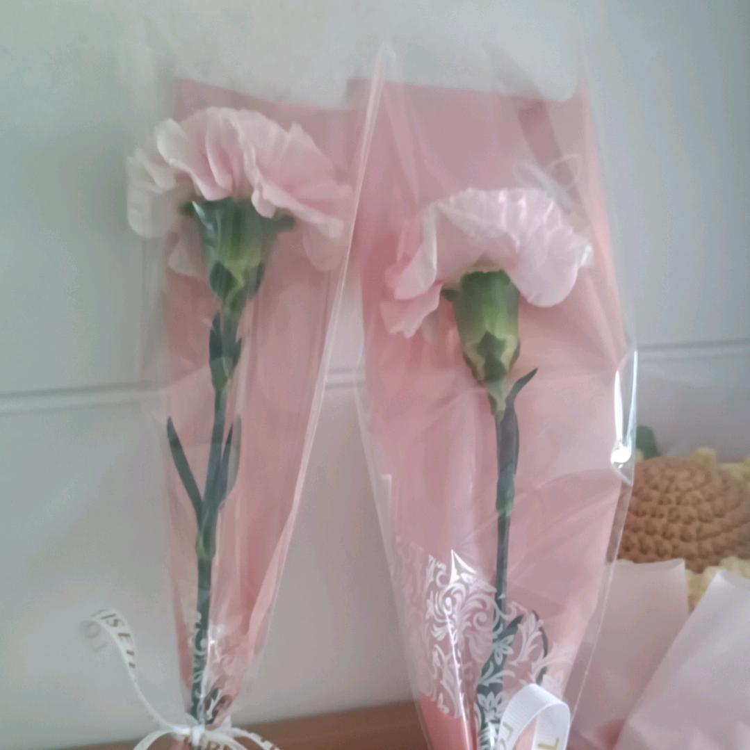 🕊ꦿ春莲꧔ꦿ༈࿐²⁰²