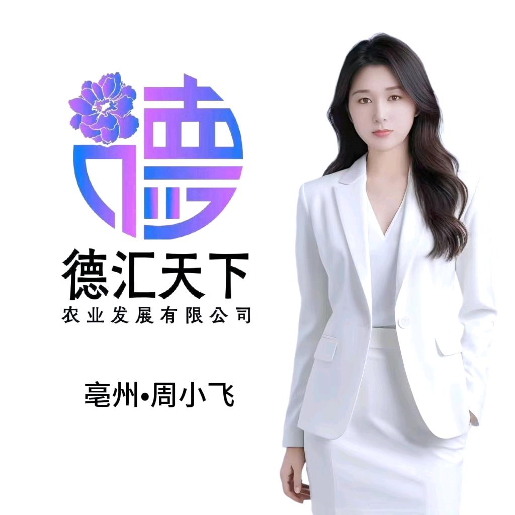 德汇天下 周小飞（周老师）