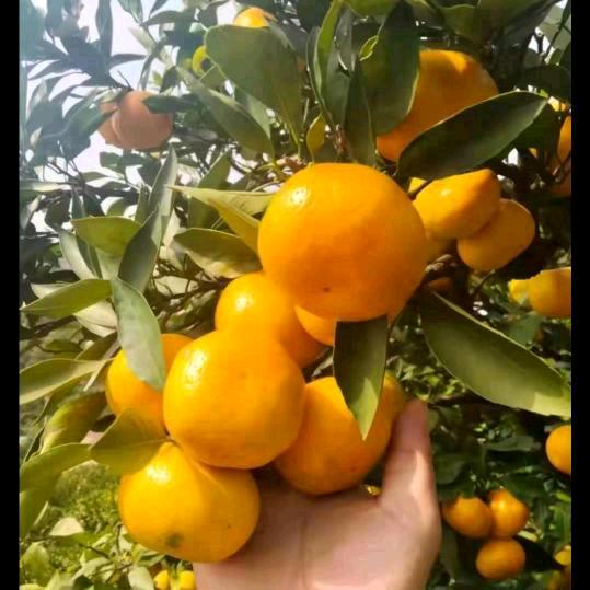 我在等你