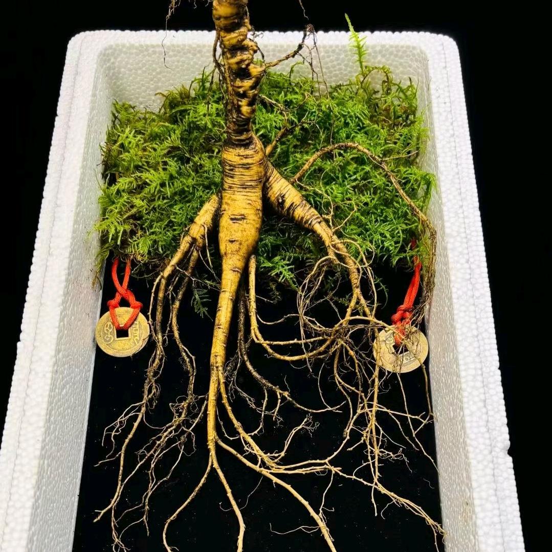 盛锦特产
