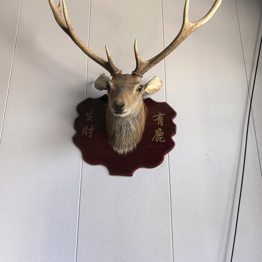 租售动物养殖场