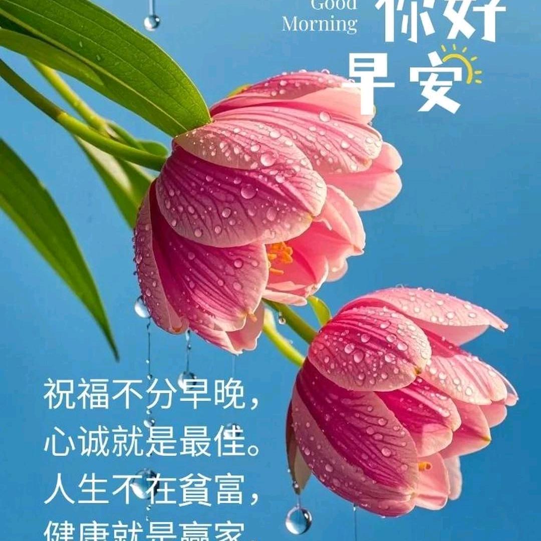 智慧在天
