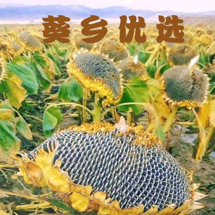 葵乡优选食品店