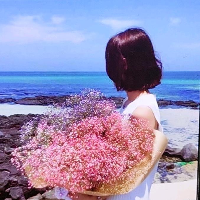 花香梅兰好运来