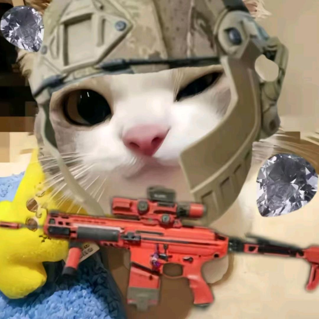 小卡（三角洲行动）手游