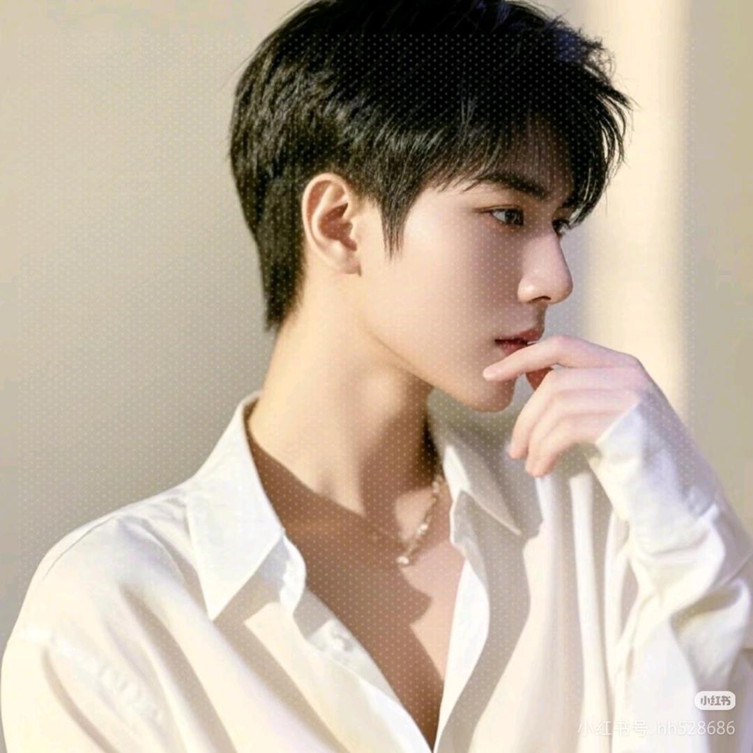 過往云烟🐇🕊🦤🐓🦩️🦜落幕✨