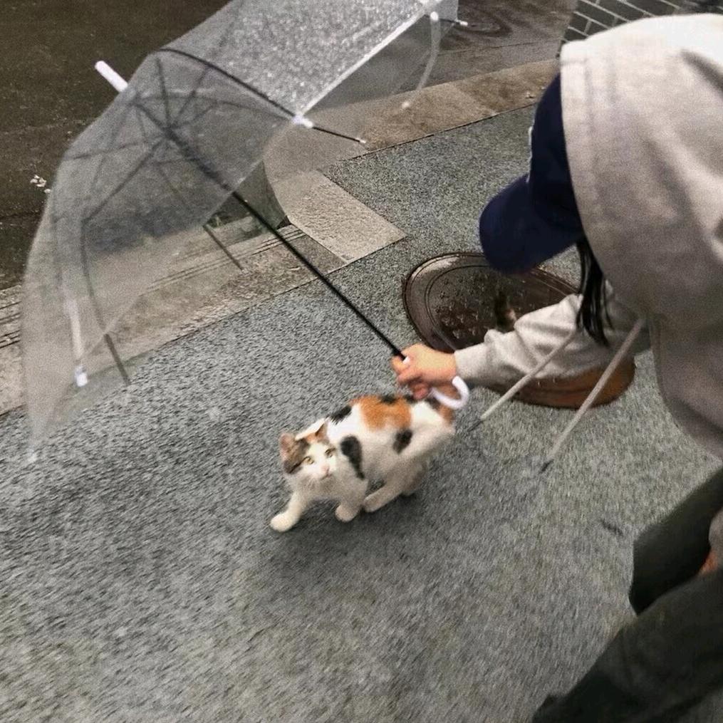 早睡一次