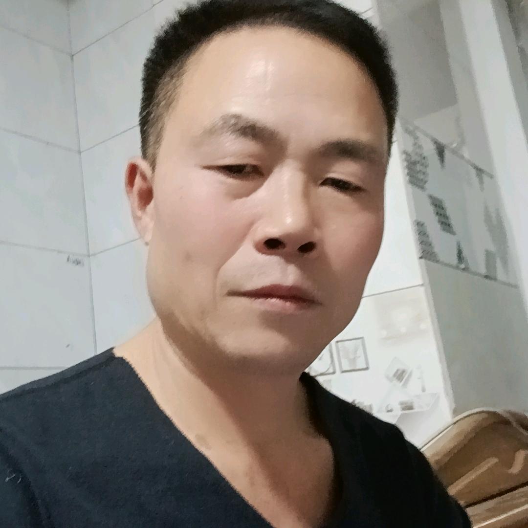 单只蝴蝶🦋🦋