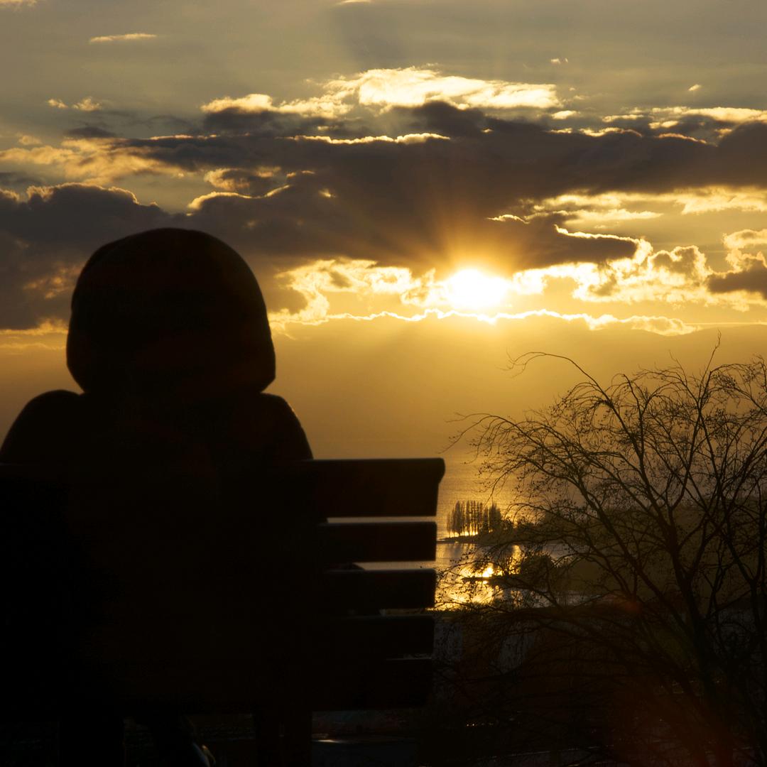 🍃 等风也等你