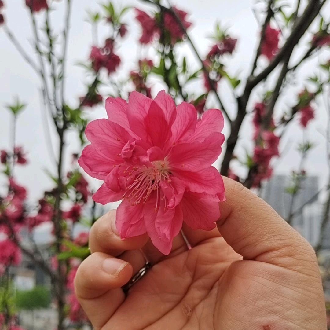 💚余ྎི生ྎྀ都是你᭄💕！！🌸