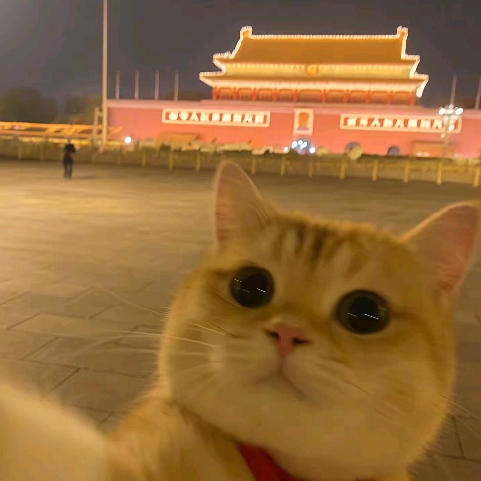 我不想站哨