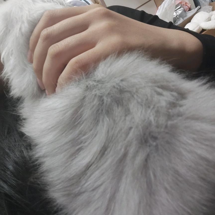 我一定发财💰💰💰