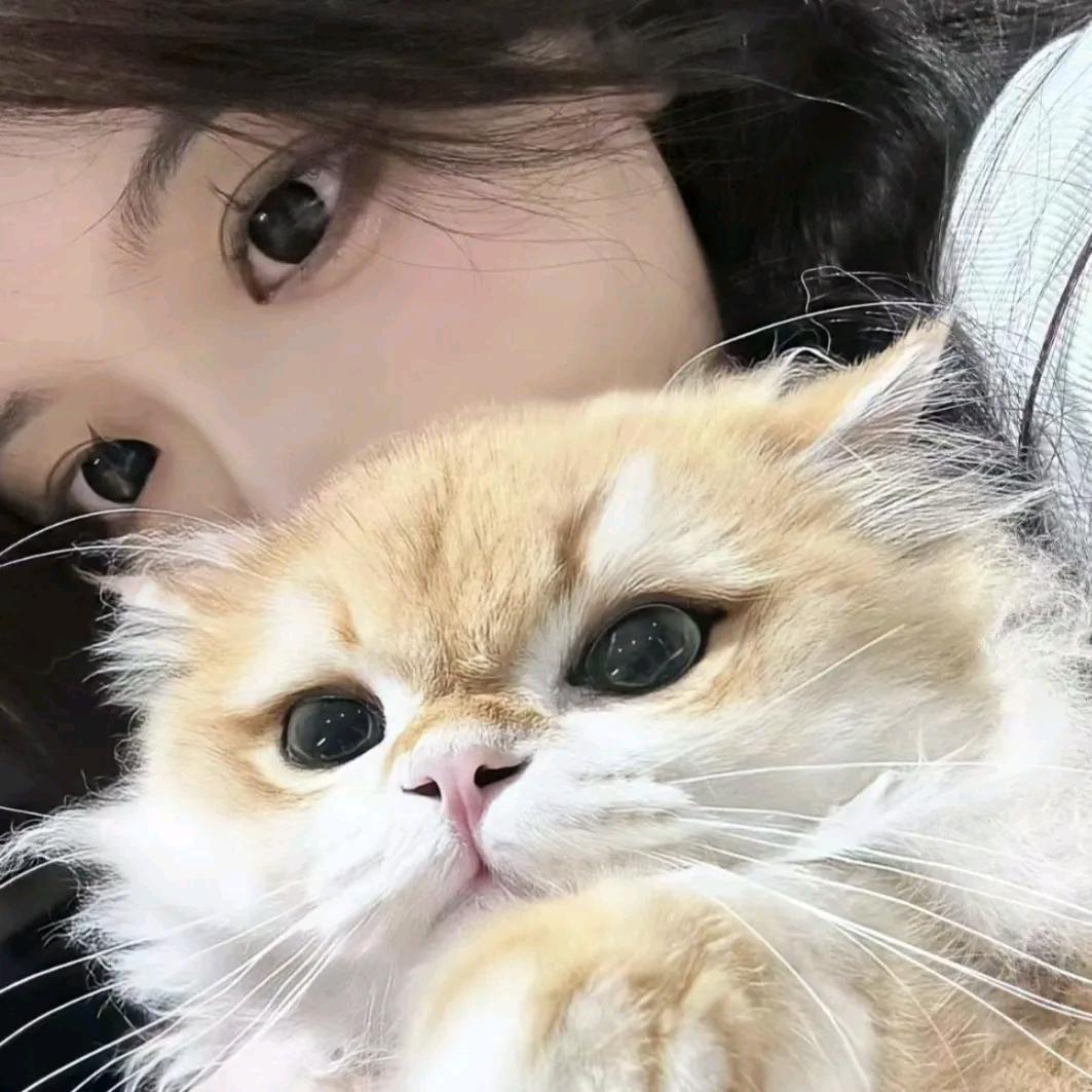 、