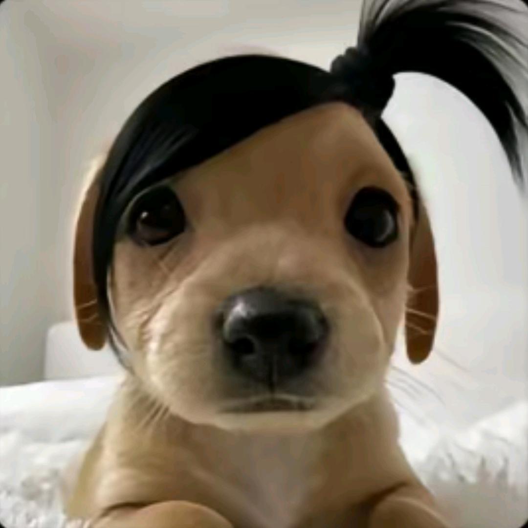 十六