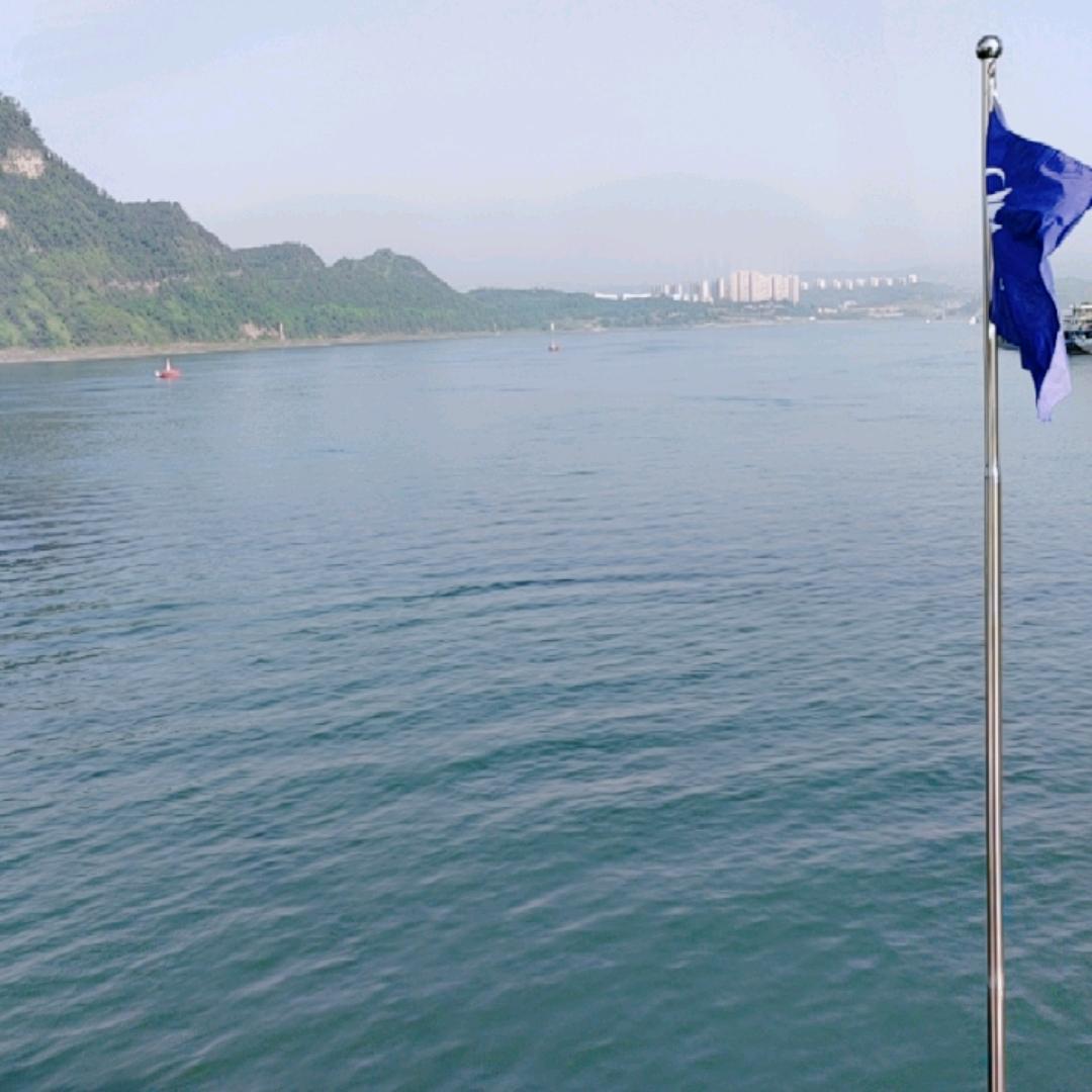 陈天菊9880899612592