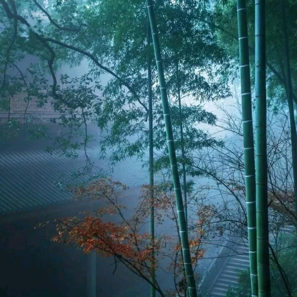 墨 道