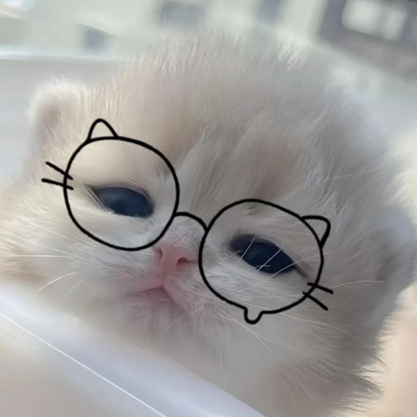 周一