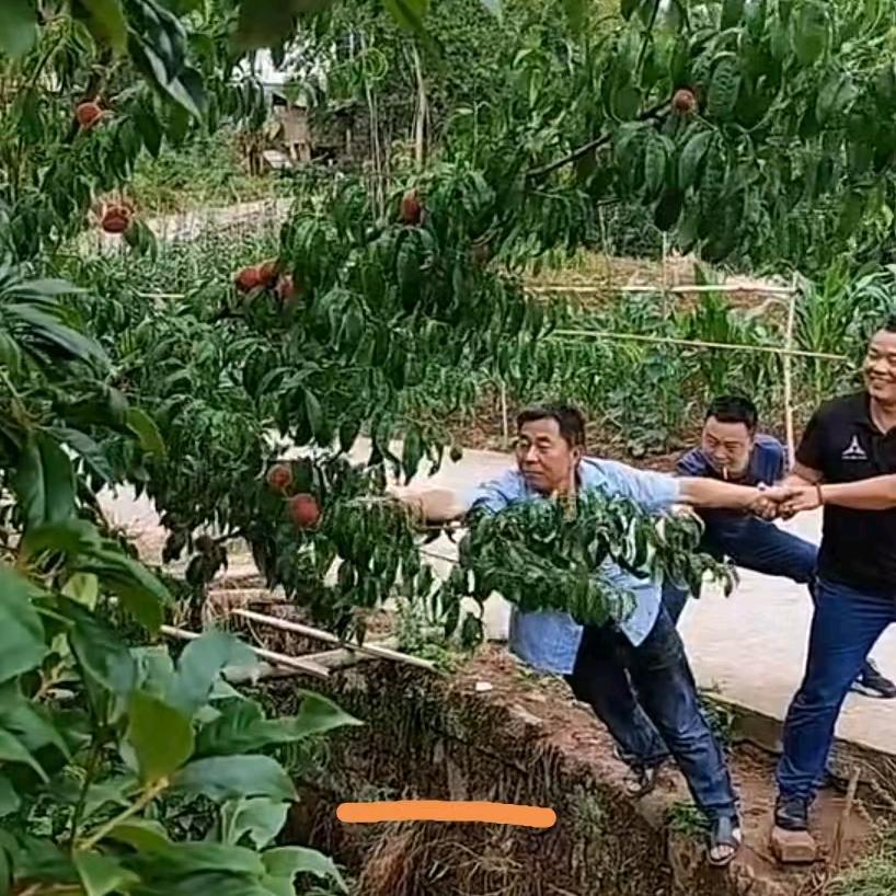 优选精管理