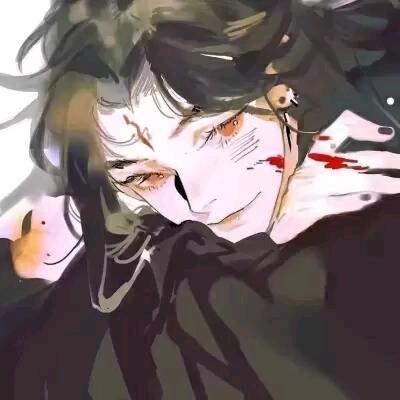 宸崽.