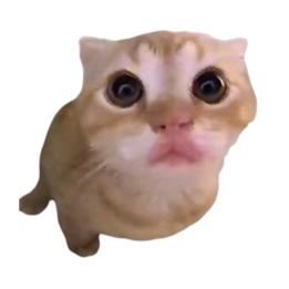 拾壹归壹