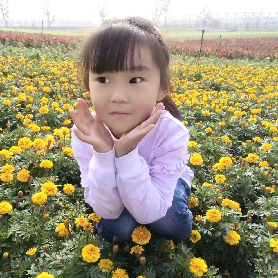 罗姐