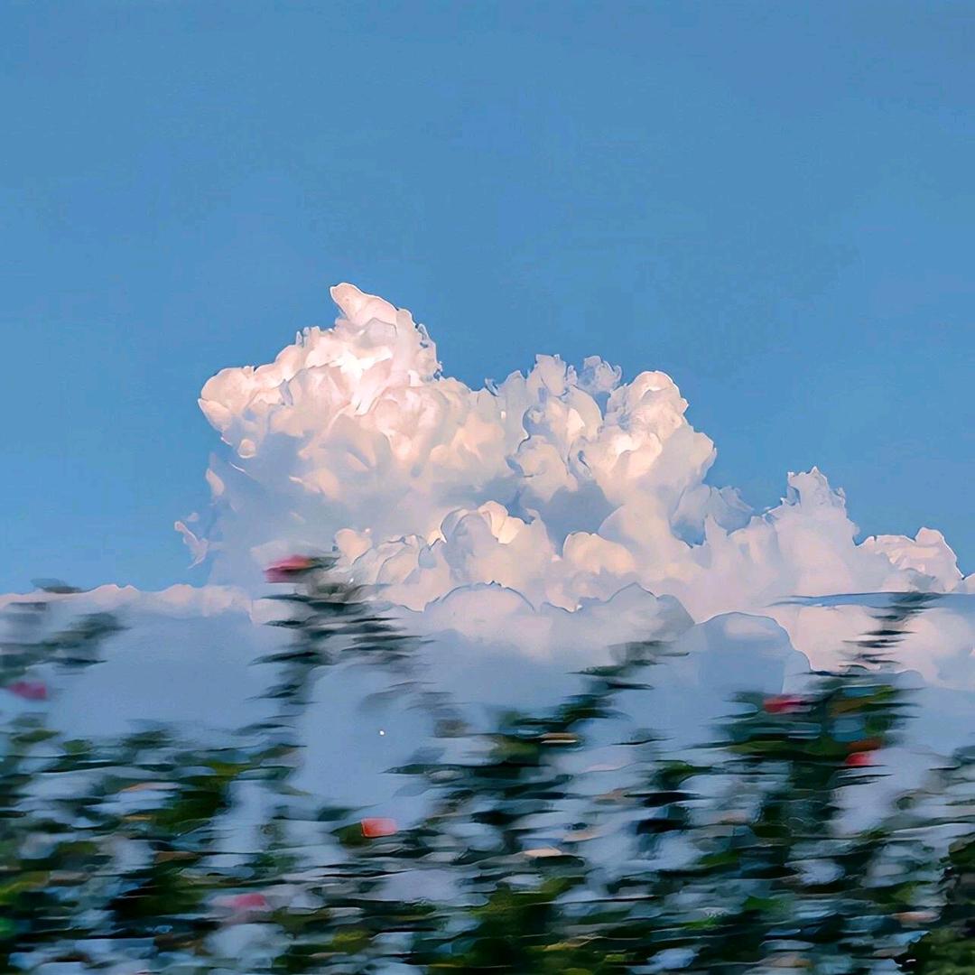 popo
