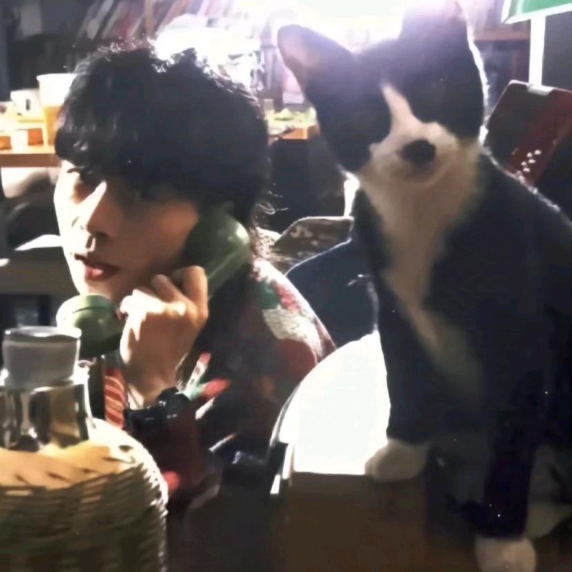 亲爱的哈德森🦔