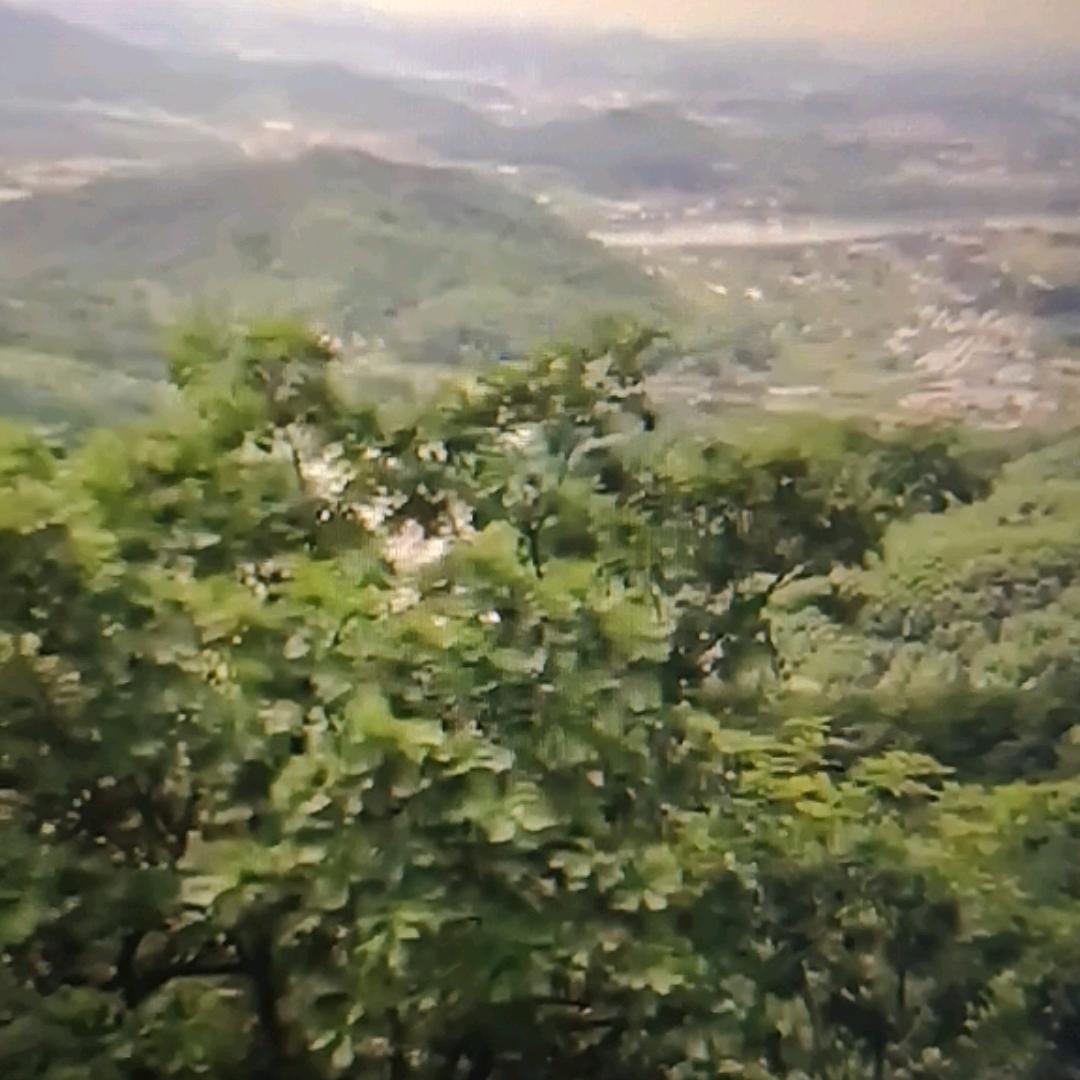 兴然