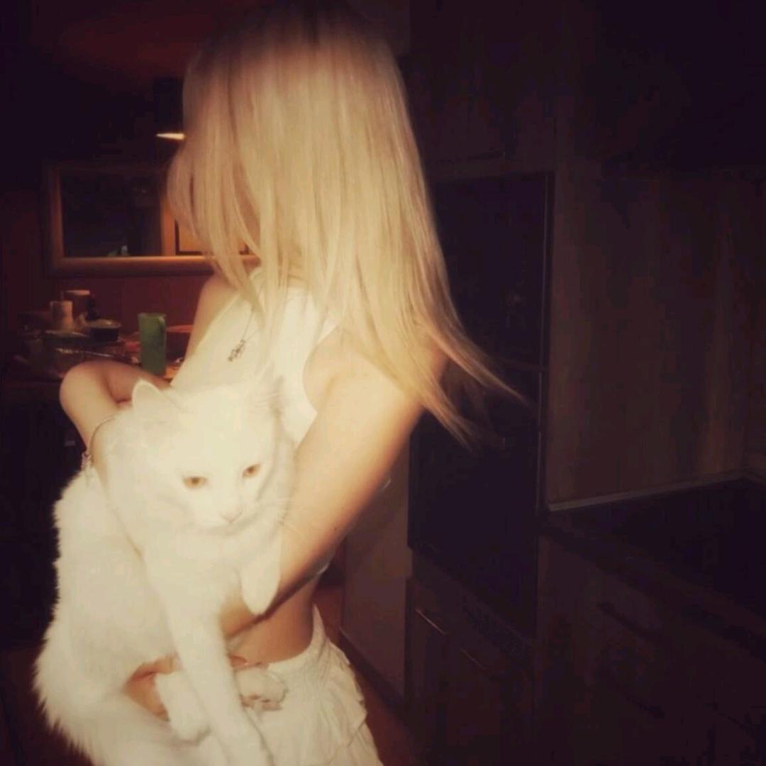 Solkatt