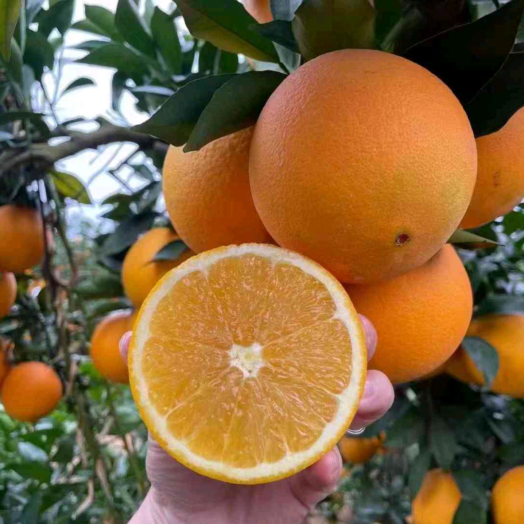 小阿姨不要打扰