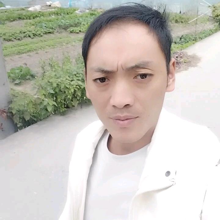 天天都在想你