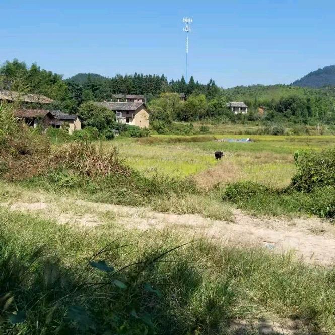 @物流头像