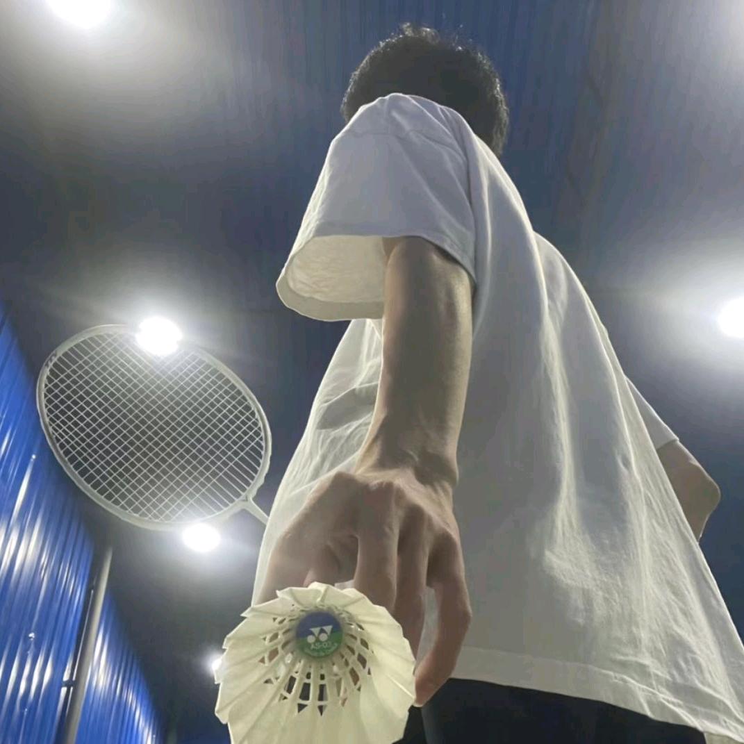 白天鹅