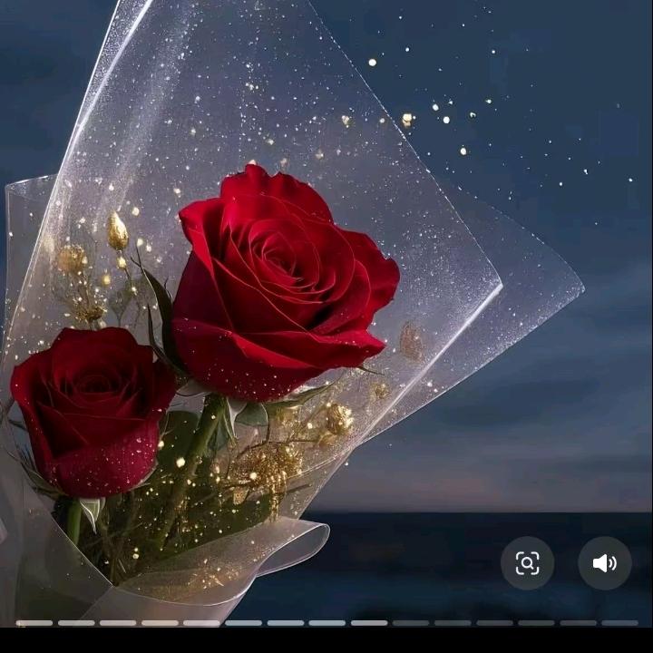 💝有你真幸福💘