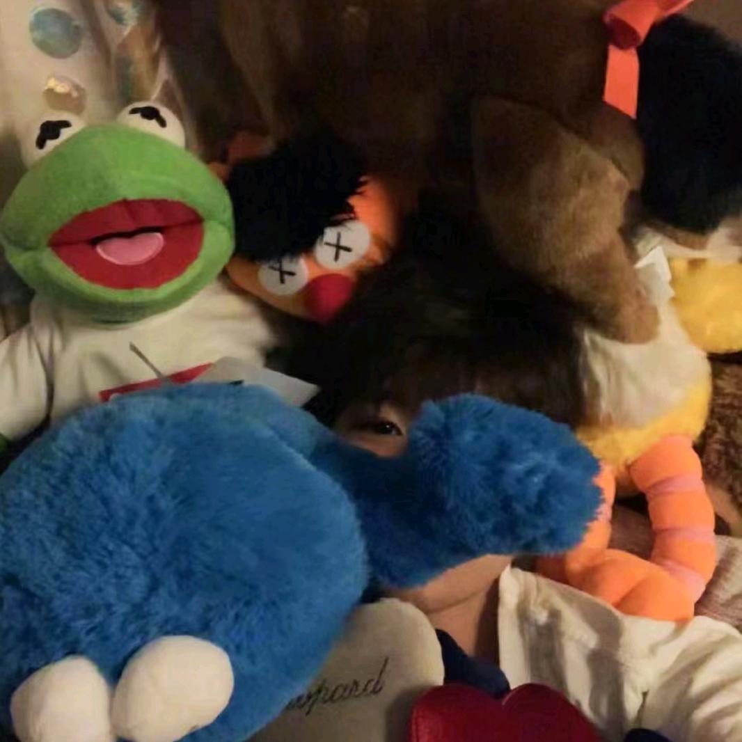 鱼崽🌱（见过王源版）