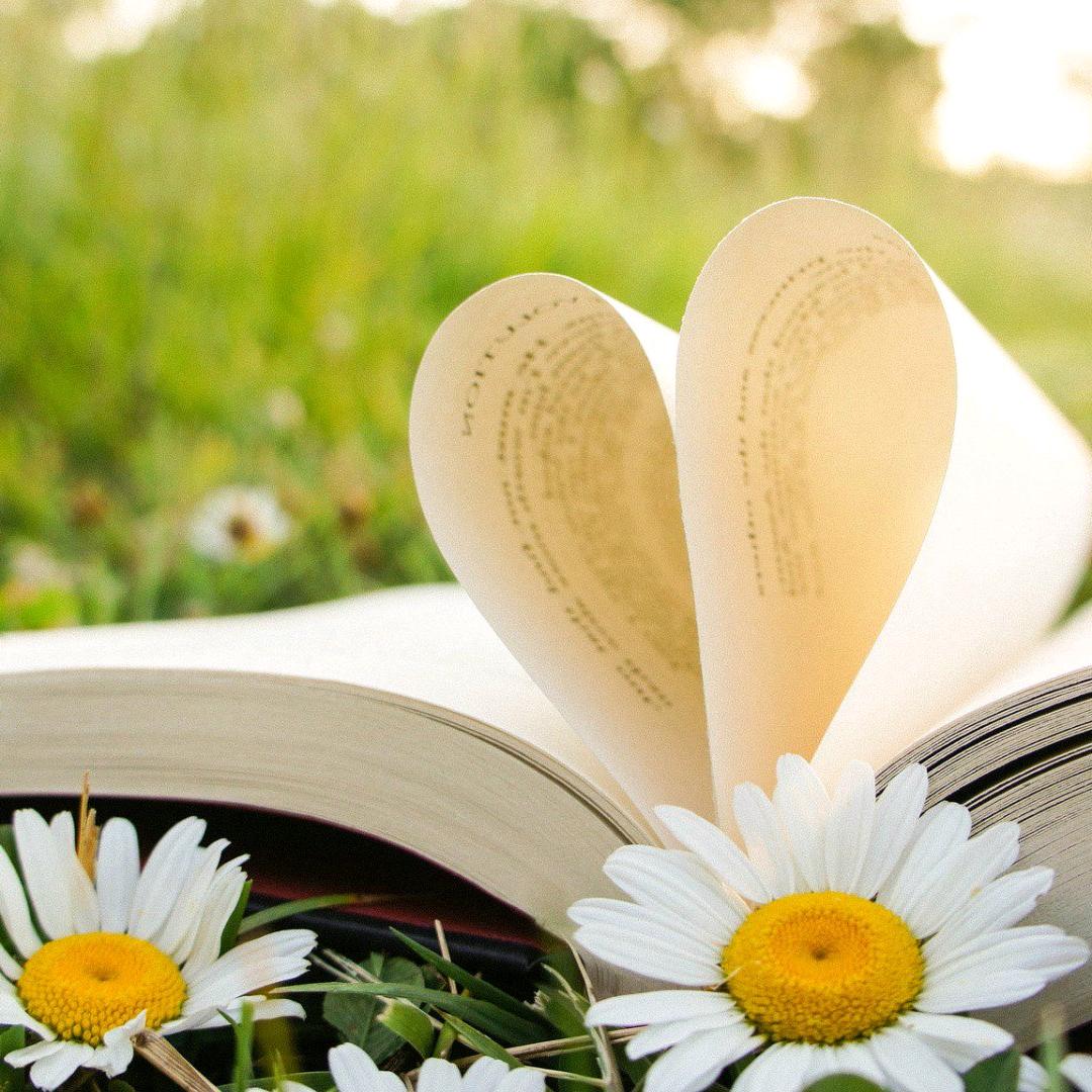 📚📕📚📕多读书