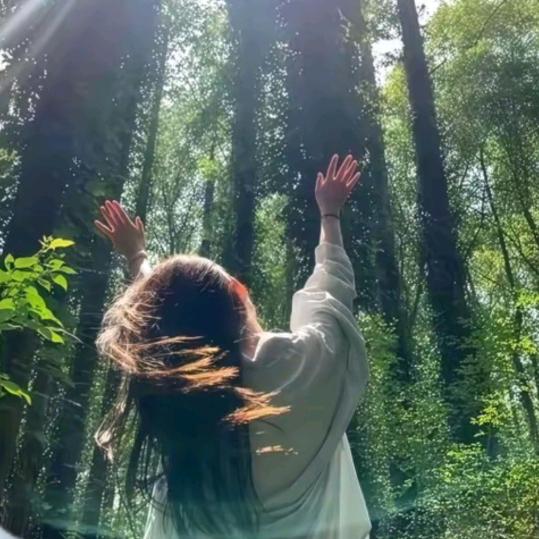 ᥫᩣ𝓦𝓊⭐️