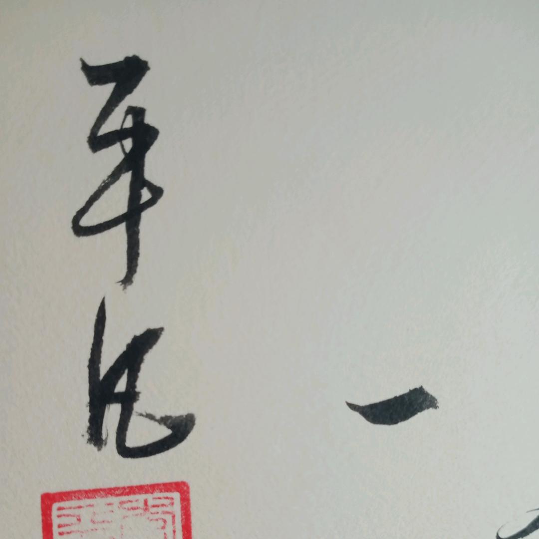 绽放优选