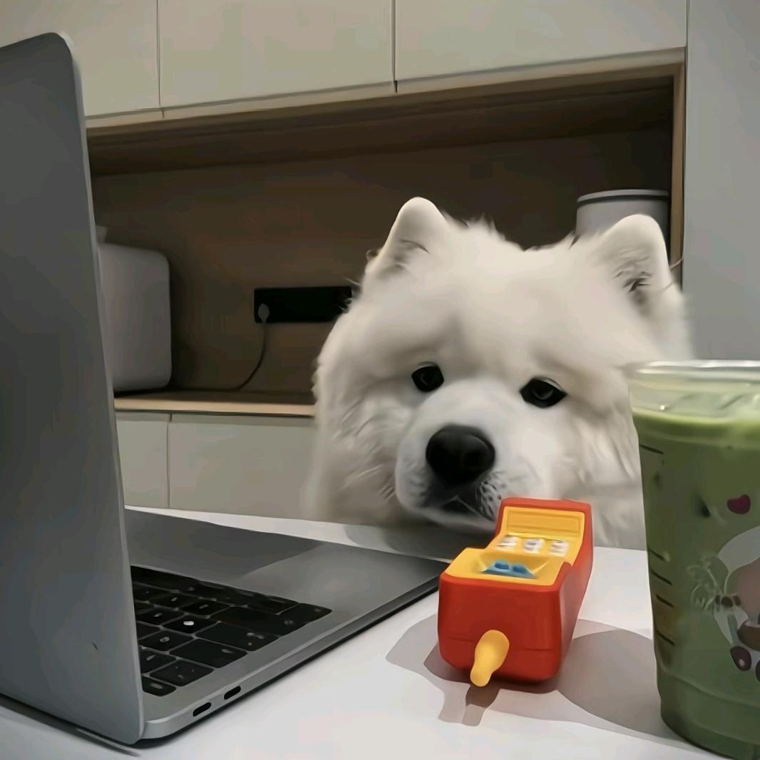 今天依然困