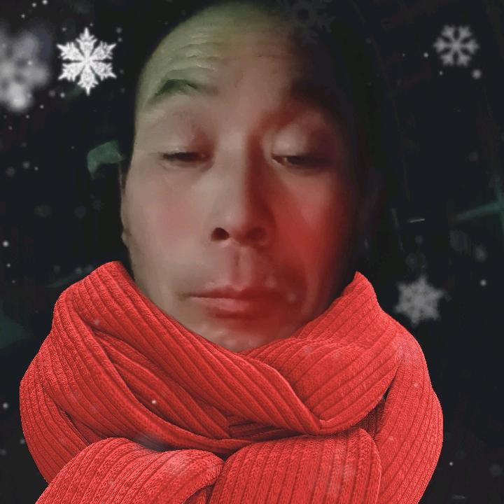 向阳家的东北女神