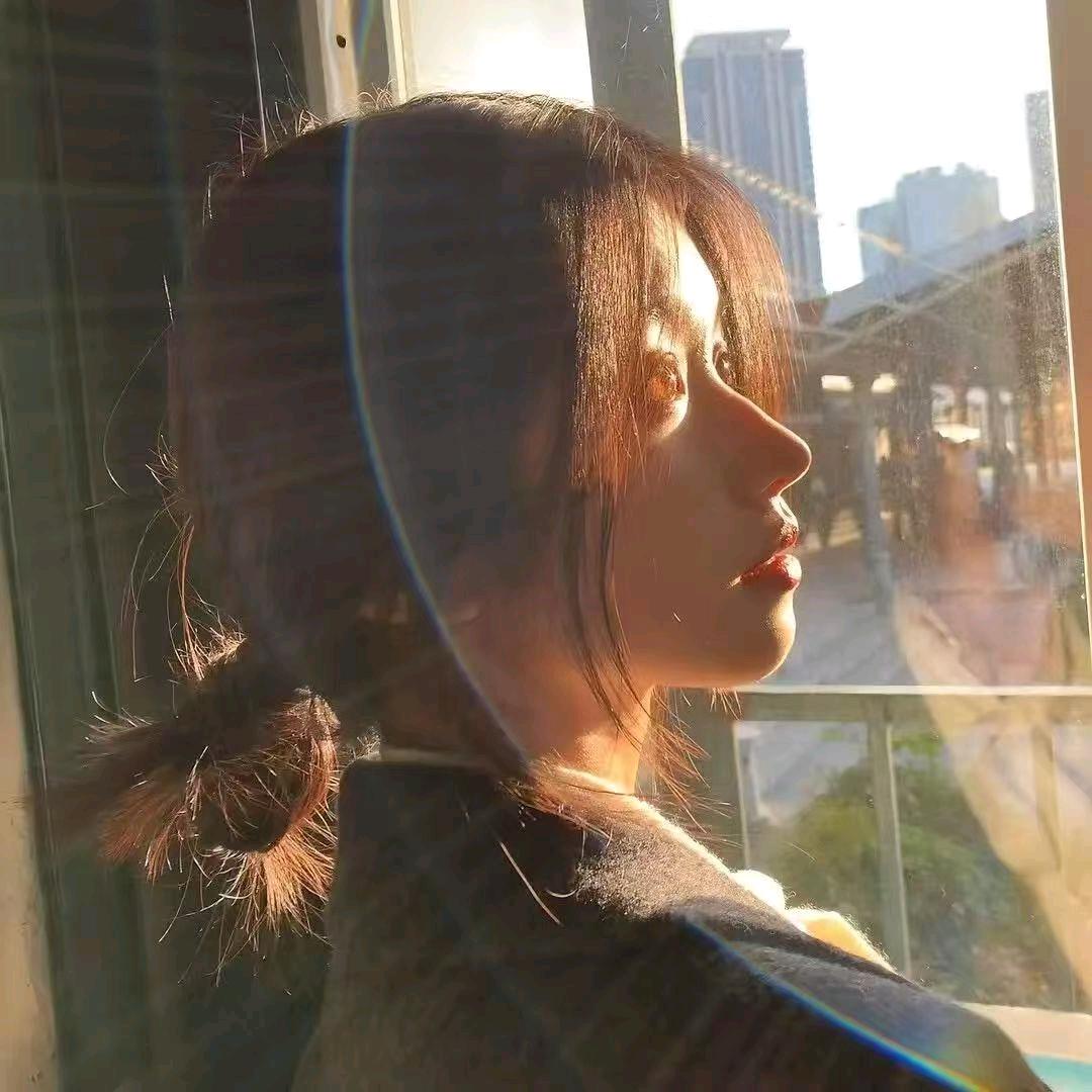 龙华多韵桉