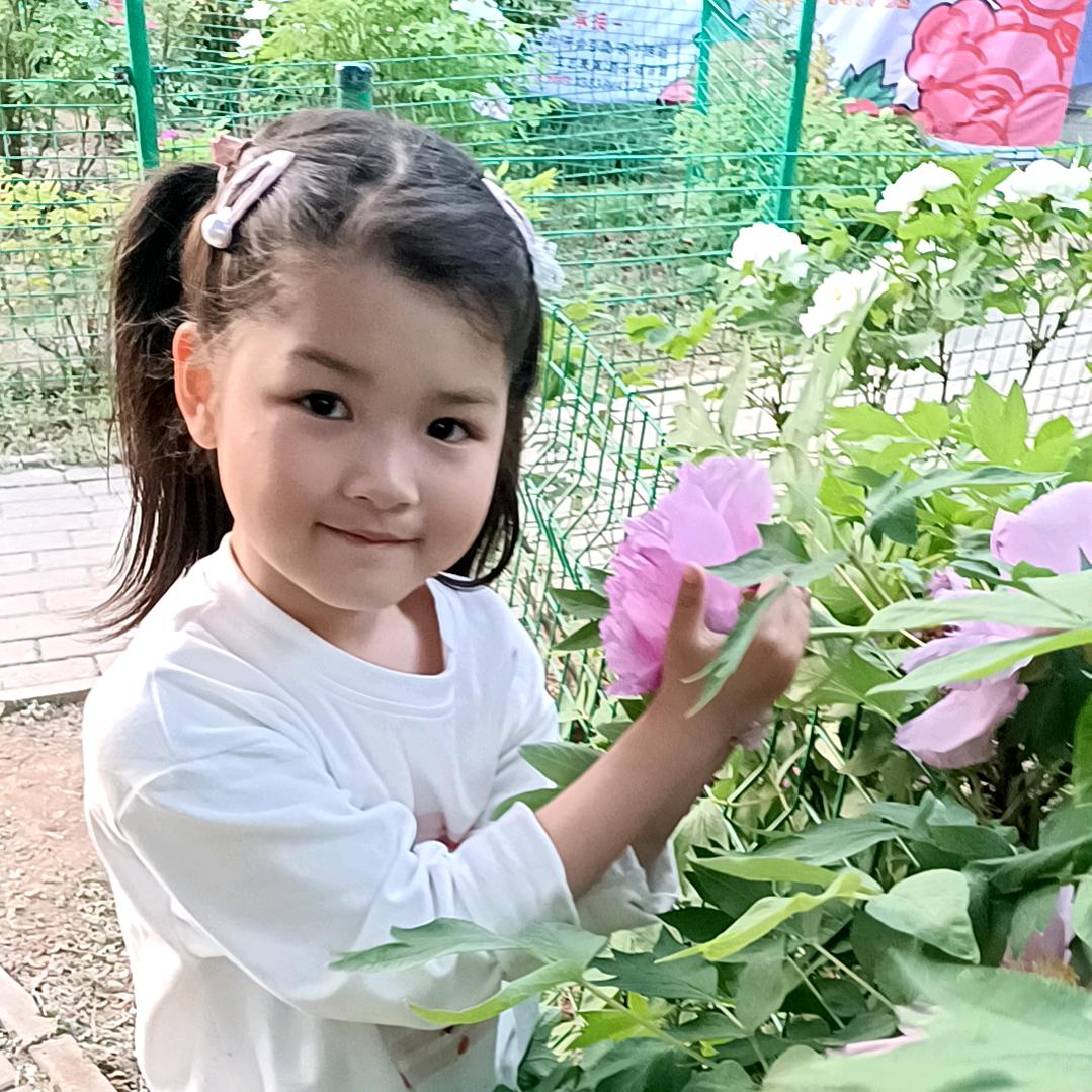 红山果（桐桐奶奶)