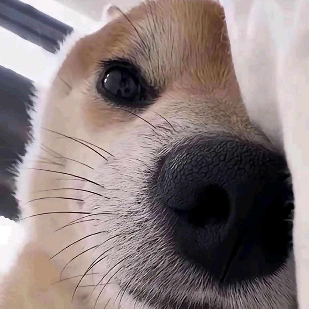 ꦿ渼渼᭄໊ྃۖﻬ໌ᔉ
