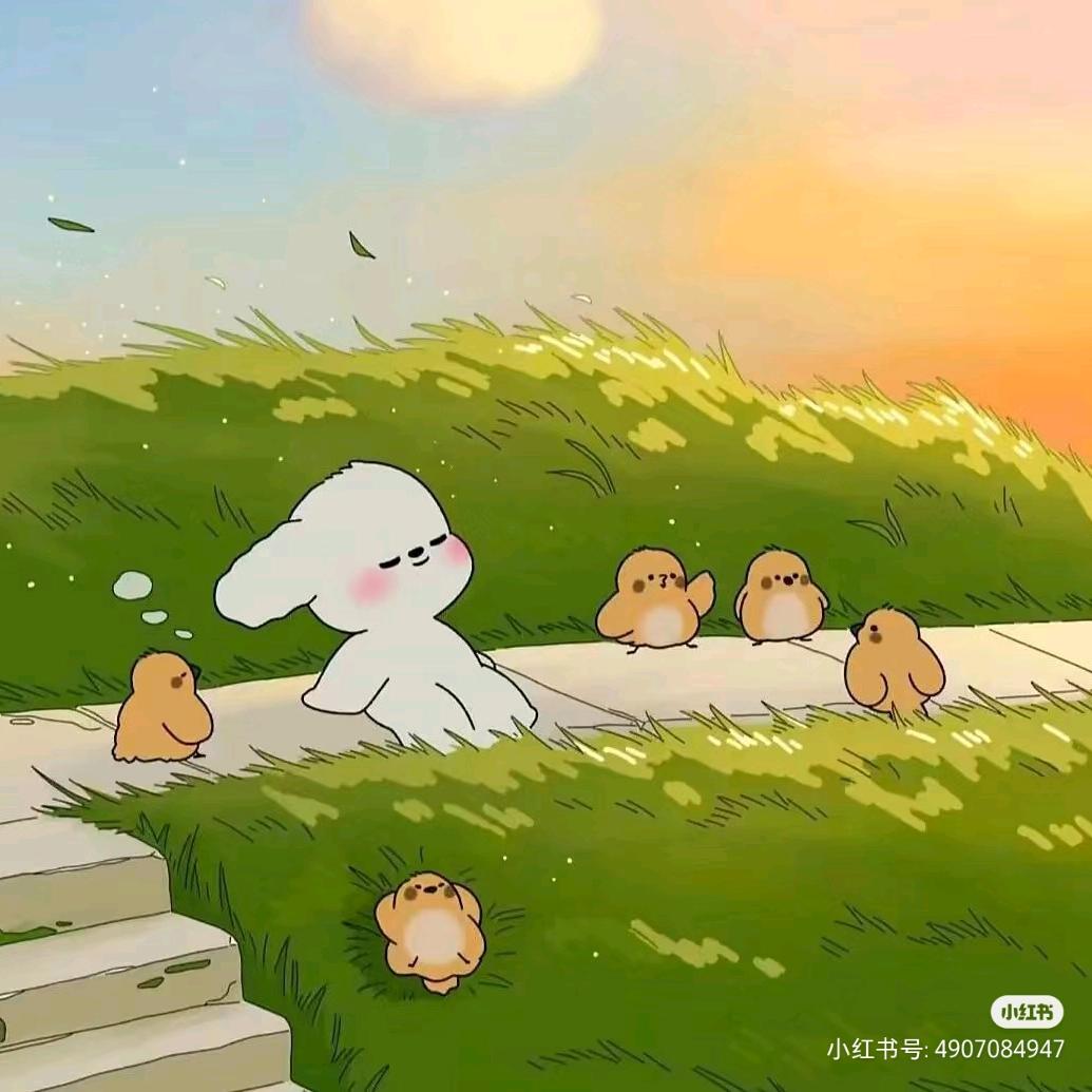 小李不会演