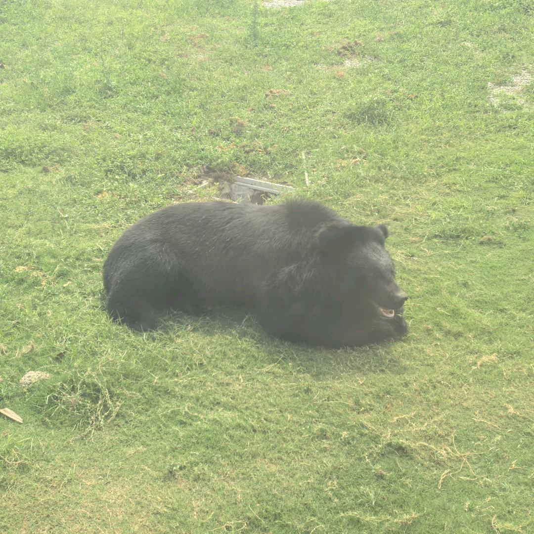 一生无所求，爱好和自由