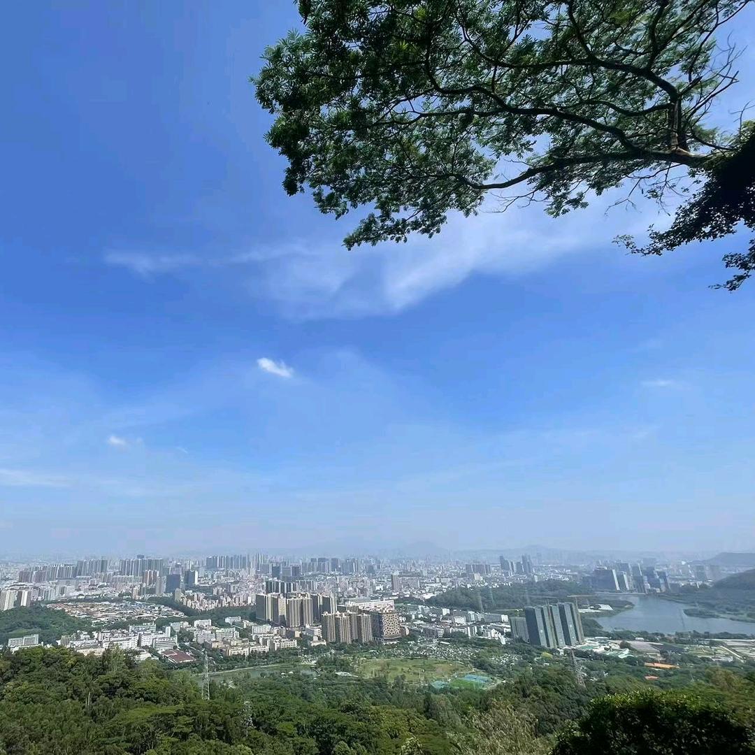 高端家政-蓝雅晴