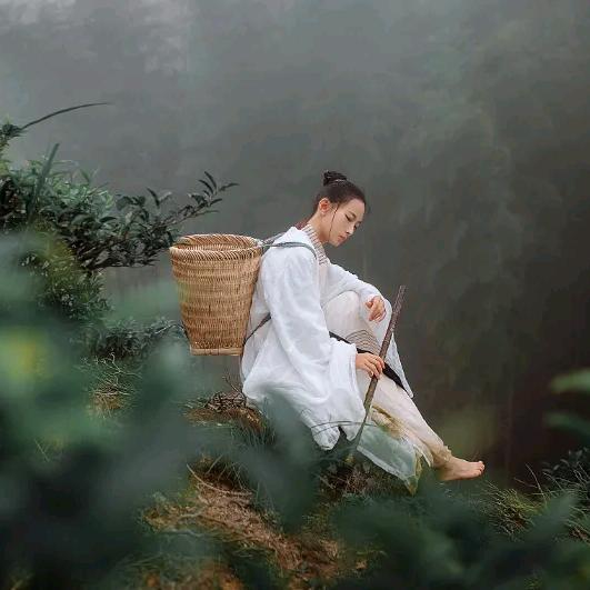 金澜